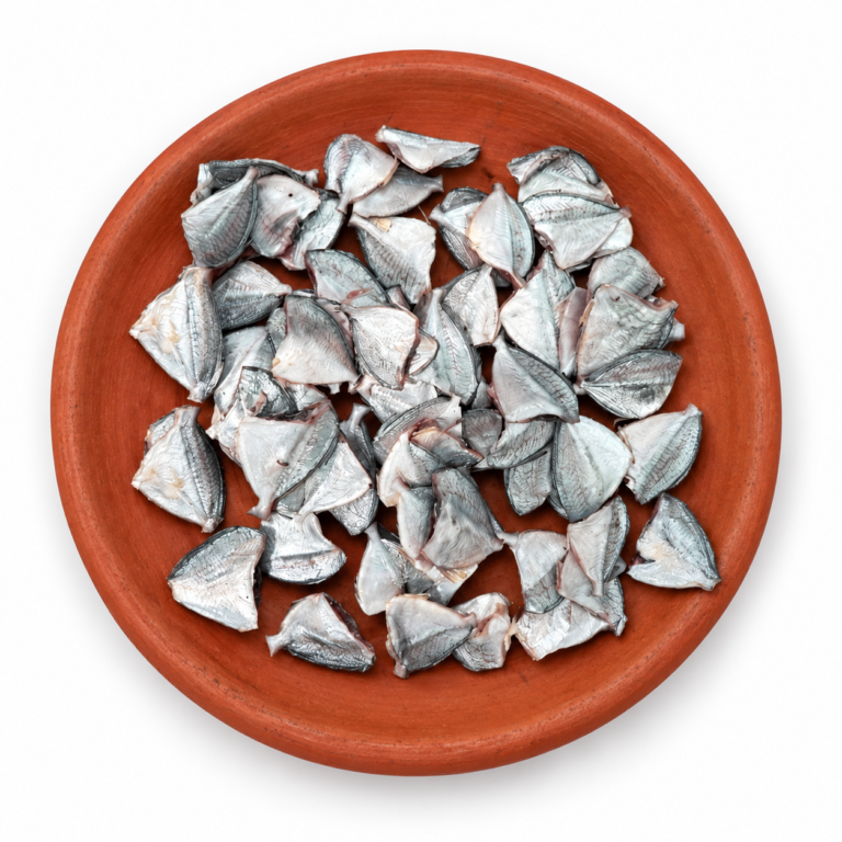 Dried Silver Belly (Headless) on a Kerala clay plate against white