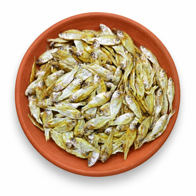 Dried False White Sardine on a Kerala clay plate against white