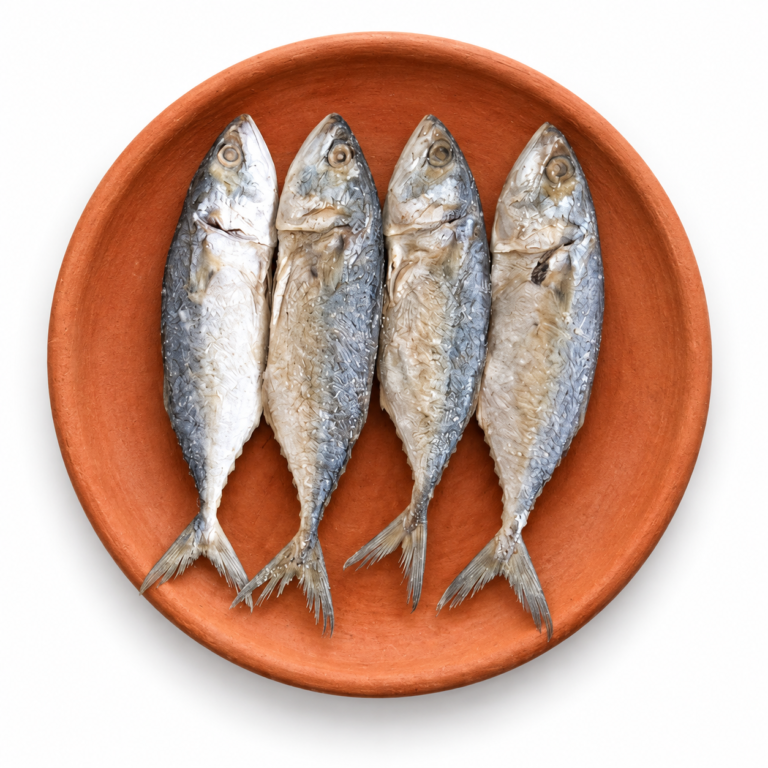 Dried Mackerel Fish on a Kerala clay plate against white