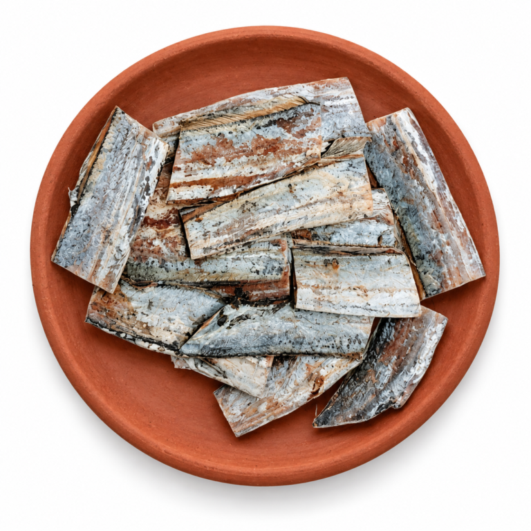 Dried Ribbon Fish on a Kerala clay plate against white